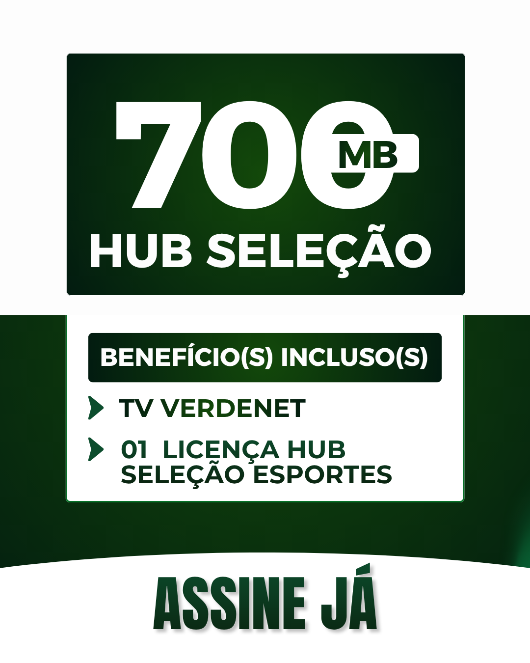 VERDENET (8).png