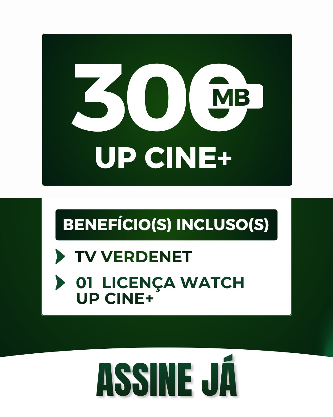 VERDENET (9).png