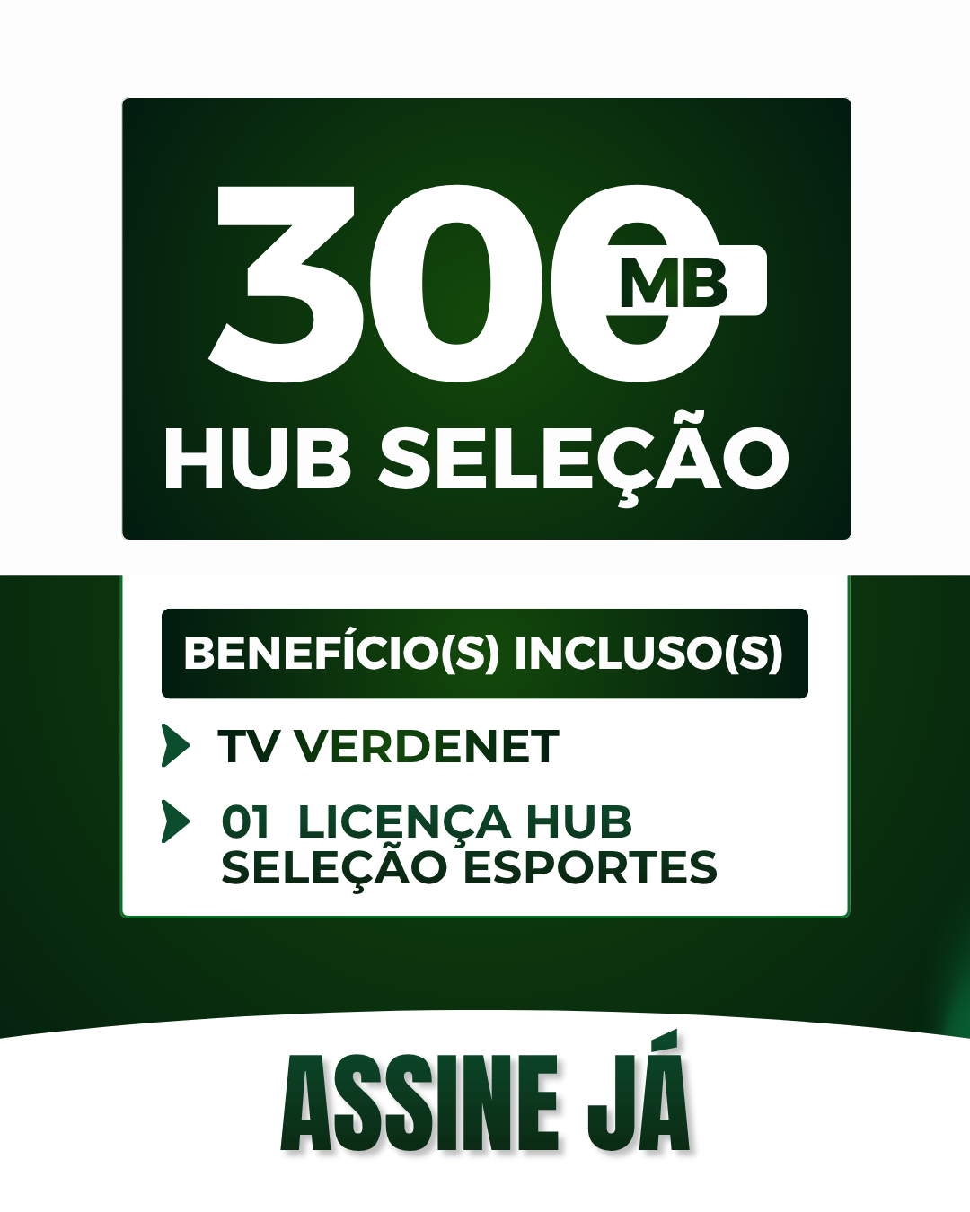 VERDENET (6).png