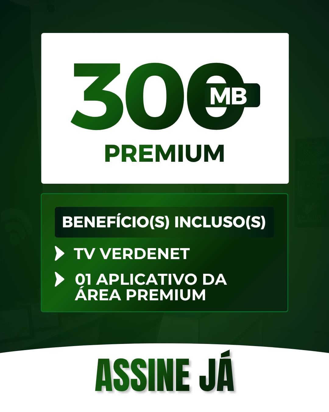 VERDENET (21).png