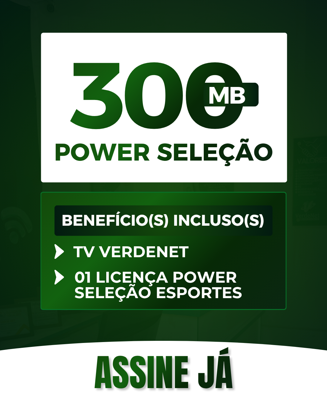 VERDENET (18).png
