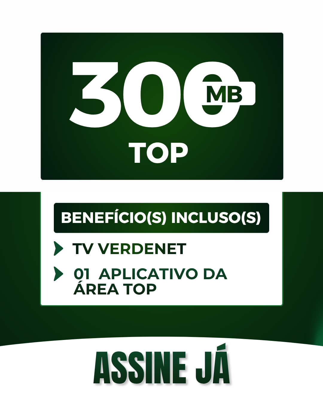 VERDENET (3).png