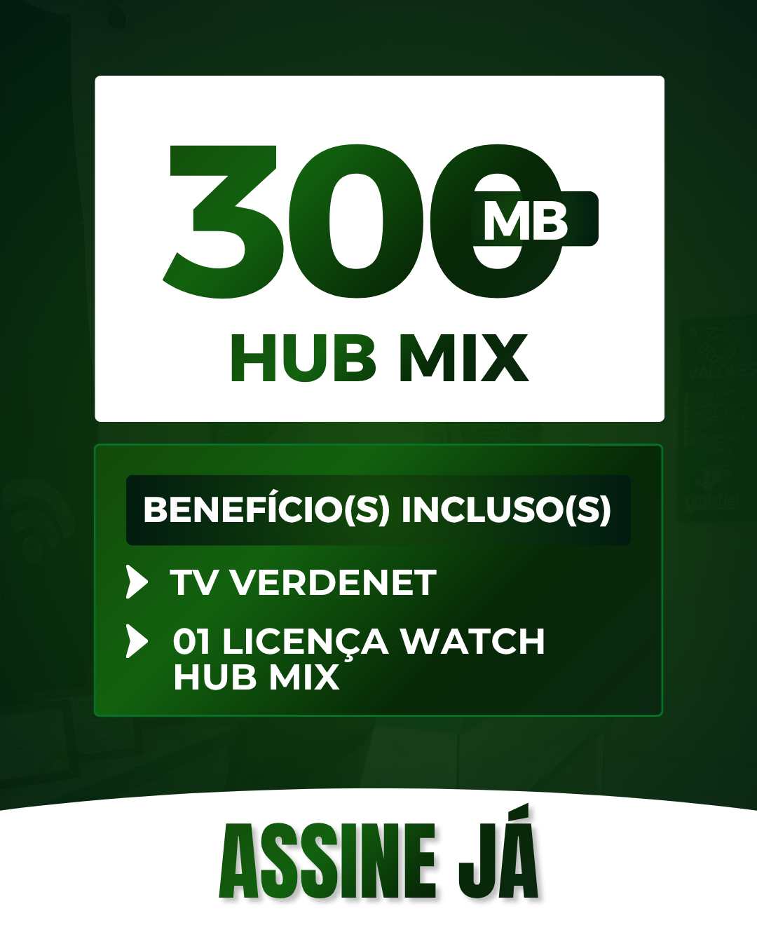 VERDENET (15).png