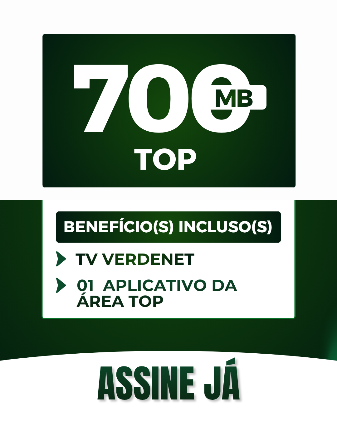 VERDENET (5).png