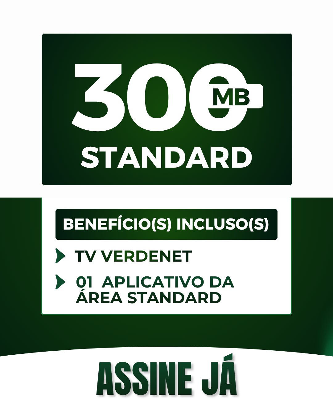 VERDENET (2).png